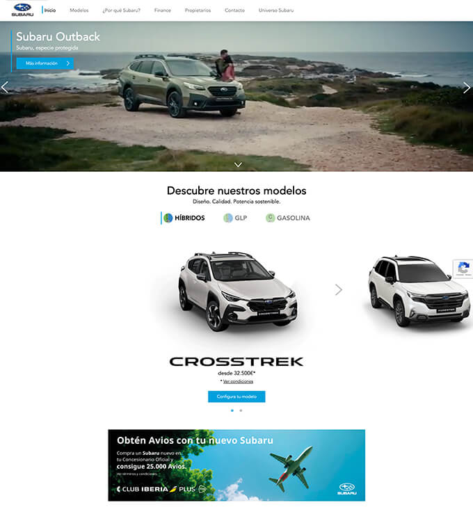 portfolio